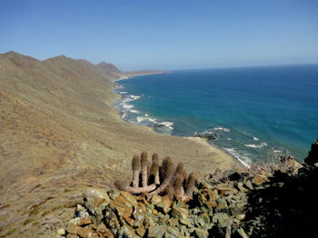 Bahia Magdalena Baja