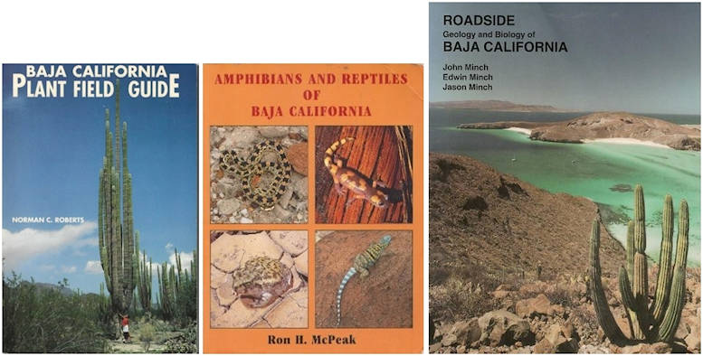 Baja Plant Field Guide