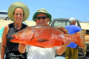 Baja Fishing