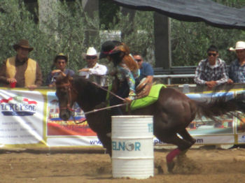 Festival del Caballo Baja