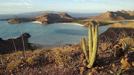 Balandra Beach Baja Sur