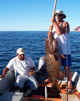 Baja Fishing