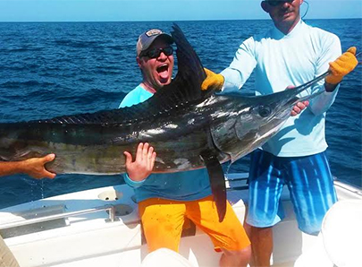 Baja Billfish