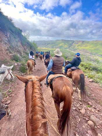 Cabalgata Baja