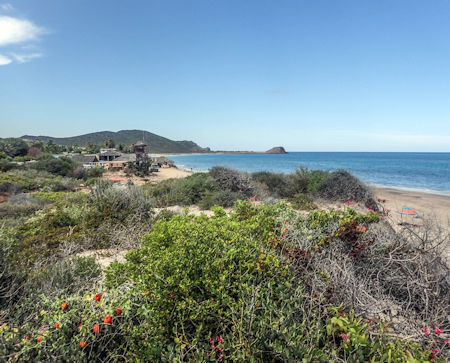 Cabo Pulmo Beach Dunes Baja Sur