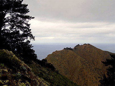 Isla Cedros View