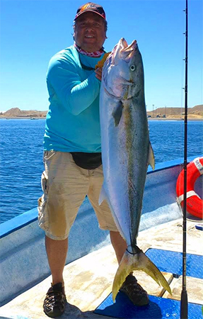 Cedros Island Yellowtail