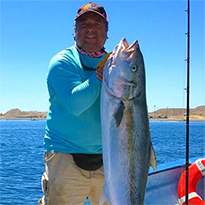 Fall Baja Fishing Report