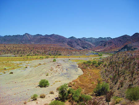 Calamajué  Baja