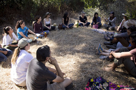 Forest Bathing in Baja