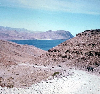 Dirt Road To Gonzaga Bay