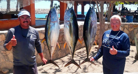 Gordo Banks Sportfishing