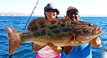 Baja Fishing - Grouper