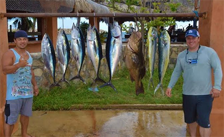 Los Cabos dorado, yellowfin and grouper