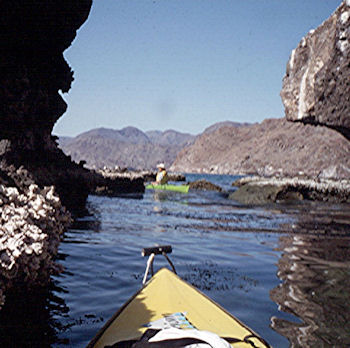 Kayaking Mulege Baja