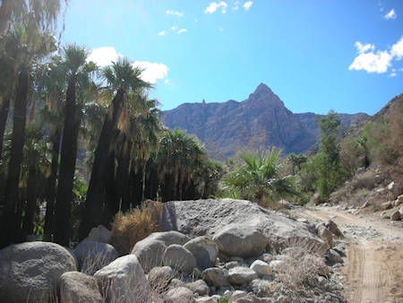 Guadalupe Canyon Hot Springs