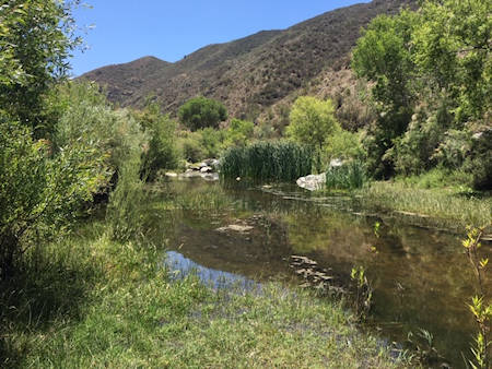 Guadalupe Valley Hiking