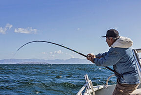 Bay of LA Baja