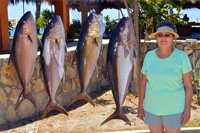 Baja Fishing - Amberjacks and Yellowtail