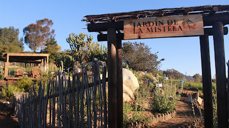 Jardin de Mistela Pijoan Baja