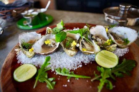 Oyster Jazamango Todos Santos