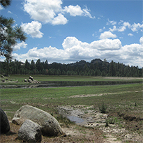 Laguna Hanson