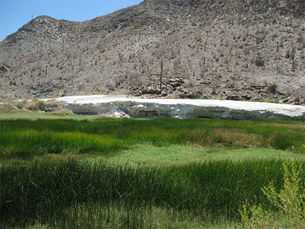 Calamajué Mineral Deposits