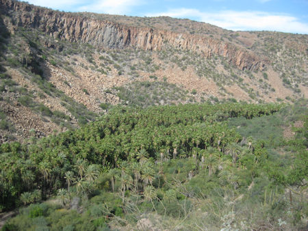 First view of the Comondú oasis