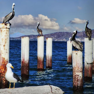 Bahía de Los Angeles 