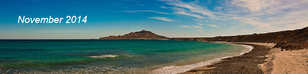 Baja Bound Bulletin - November 2014