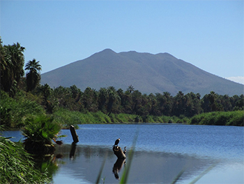 Baja Beach