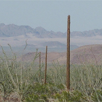 Exploring Pole Line Road