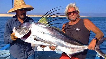 Baja Roosterfish