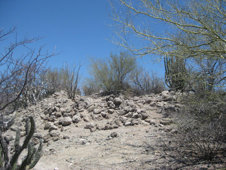 San Bruno Ruins Baja