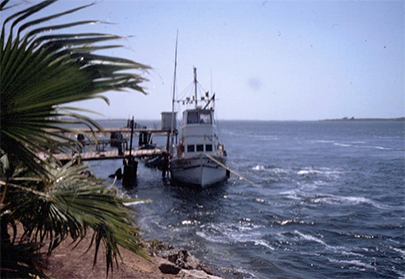 San Quintin Harbor