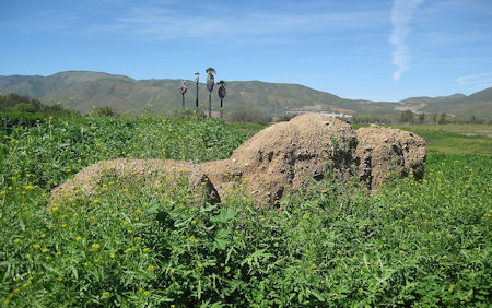 Santo Tomás Mission Baja