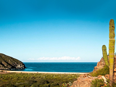 Playa Punto Lobos