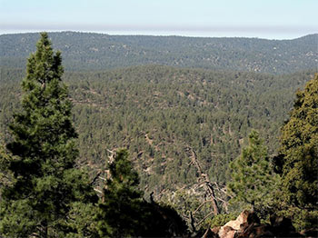 San Pedro Mártir View