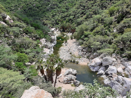 Rancho Ecológico Sol de Mayo Baja Sur