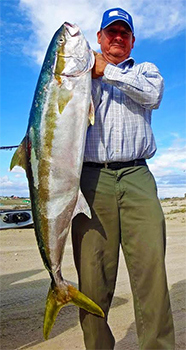 Trophy Yellowtail