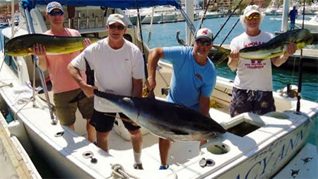 Los Cabos yellowfin and Ddorado